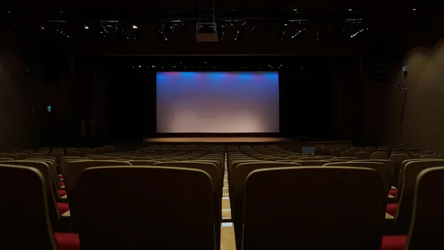 theater, audience, screen, theater, theater, theater, theater, theater. How do you research the audience for connected TV advertising?